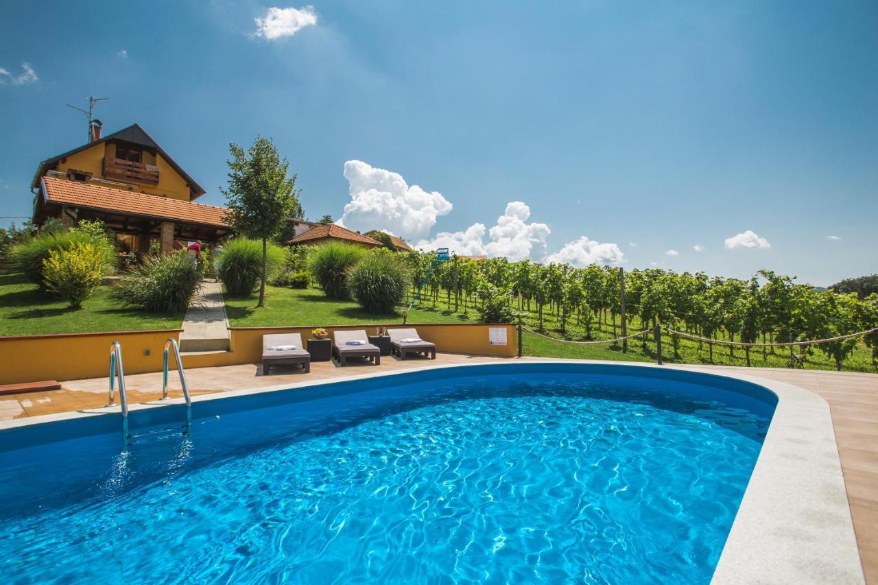 Bregec Rural House Villa Varazdinske Toplice Buitenkant foto